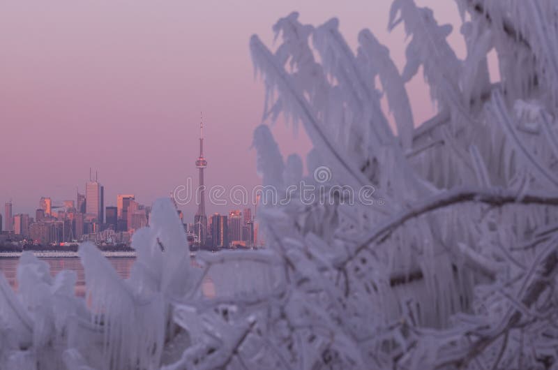 De stadshorizon van Toronto tijdens de winter Polaire Draaikolk stock afbeelding De stadshorizon van Toronto tijdens de winter Polaire Draaikolk stock afbeelding