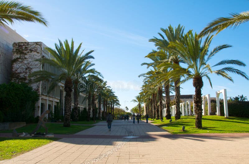 De steeg van de palm. De steeg van de palm.