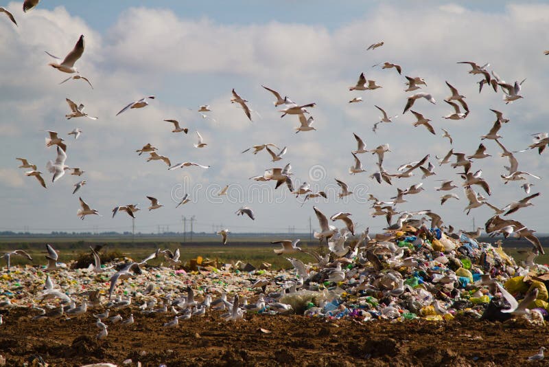 De stortplaats royalty-vrije stock fotografie