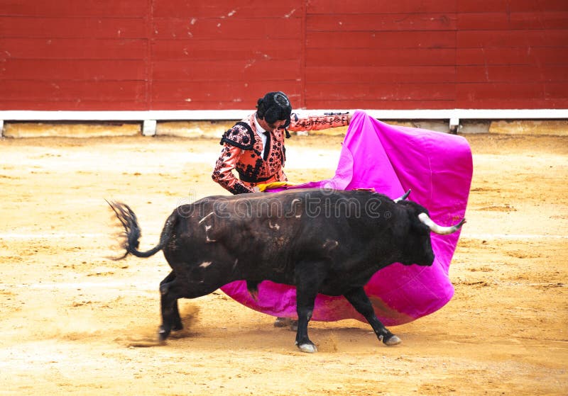 The fight of a bull and bullfighter. Corrida de toros. The fight of a bull and bullfighter. Corrida de toros