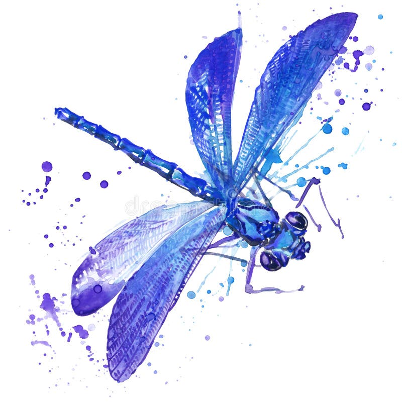 Dragonfly insect T-shirt graphics. dragonfly illustration with splash watercolor textured background. Dragonfly insect T-shirt graphics. dragonfly illustration with splash watercolor textured background.