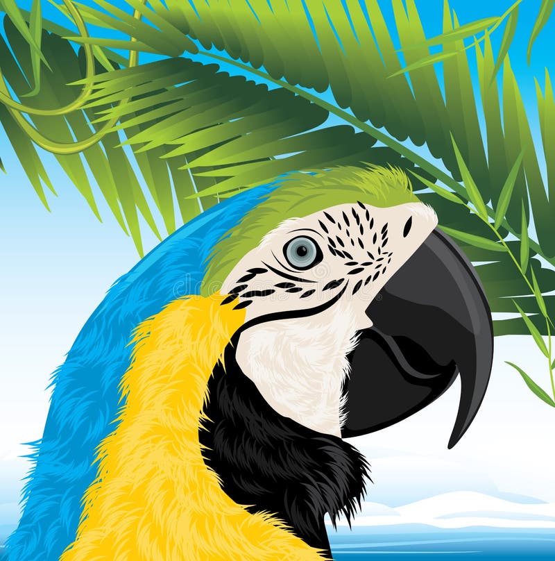 De takken van de papegaai en van de palm vector illustratie De takken van de papegaai en van de palm vector illustratie