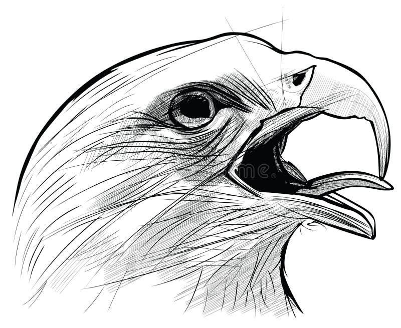 De tekening van de inkt van adelaar Langkawi vector illustratie De tekening van de inkt van adelaar Langkawi vector illustratie