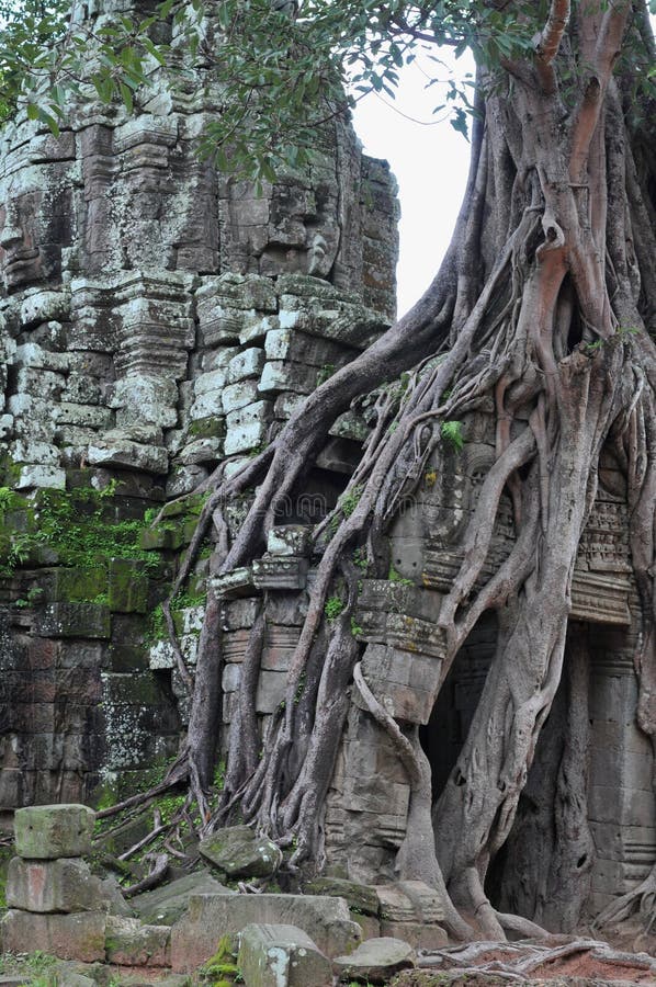 De tempelTa som van de wildernis in Kambodja