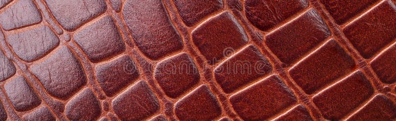 De textuur van de achtergrond krokodilhuid close-up royalty-vrije stock foto De textuur van de achtergrond krokodilhuid close-up royalty-vrije stock foto