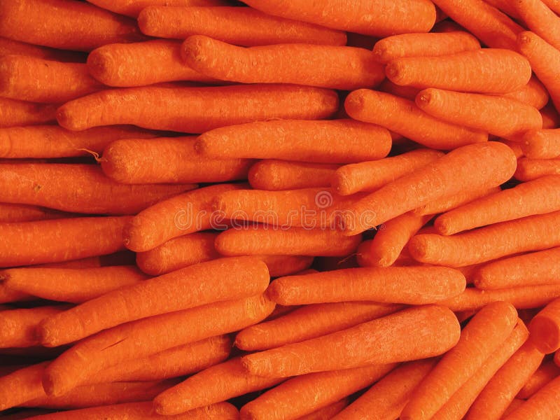 Texture from fresh carrots. Texture from fresh carrots