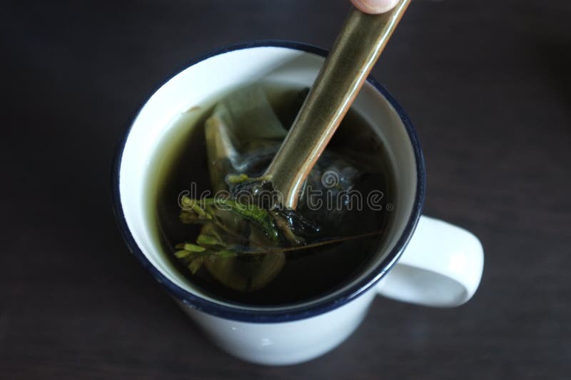 De thee met Groen en dired Stevia-bladeren royalty-vrije stock foto's De thee met Groen en dired Stevia-bladeren royalty-vrije stock foto's