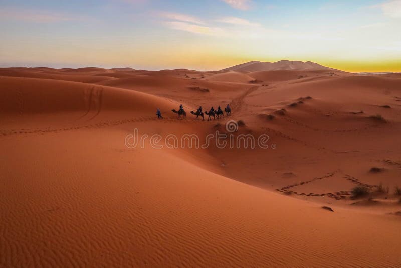 De toeristen berijden kamelentrein in woestijn tijdens zonsondergang, de zomers, bij Shapotou-Toerismegebied, China royalty-vrije stock fotografie De toeristen berijden kamelentrein in woestijn tijdens zonsondergang, de zomers, bij Shapotou-Toerismegebied, China royalty-vrije stock fotografie