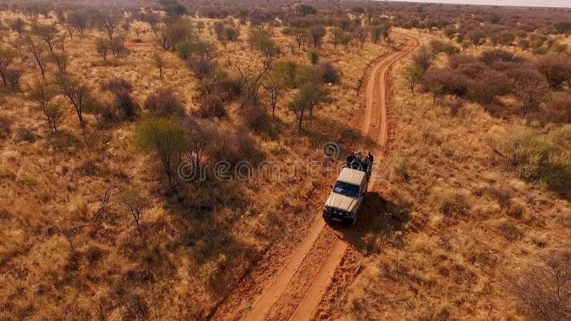 De toeristen gaan op savanne tijdens een safari op een de jacht off-road auto