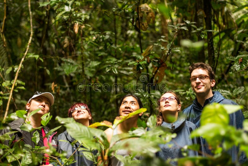 De toeristen groeperen zich in Amazonië royalty-vrije stock foto De toeristen groeperen zich in Amazonië royalty-vrije stock foto