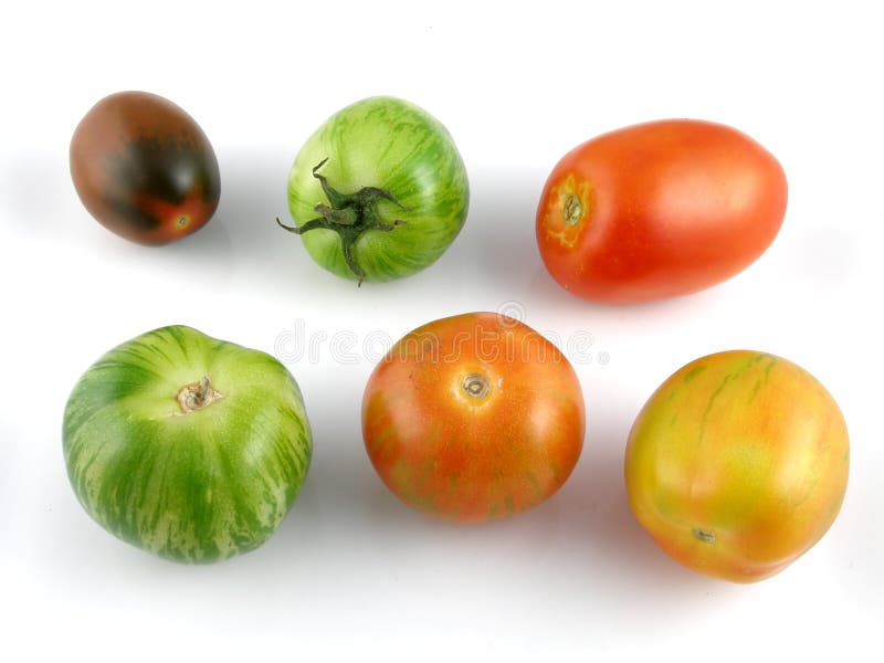 De tomaten van het erfgoed stock fotografie De tomaten van het erfgoed stock fotografie