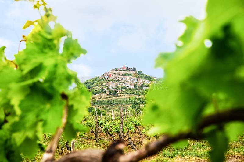 De toneelstad van menings beroemde Motovun in Istria-gebied, dichtbij Rovinj de bestemming van de luxereis in Kroatië, Europa Sel stock foto's De toneelstad van menings beroemde Motovun in Istria-gebied, dichtbij Rovinj de bestemming van de luxereis in Kroatië, Europa Sel stock foto's