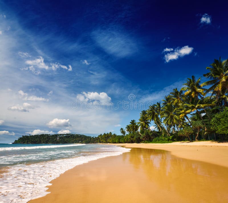 Idyllisch strand. Sri Lanka
