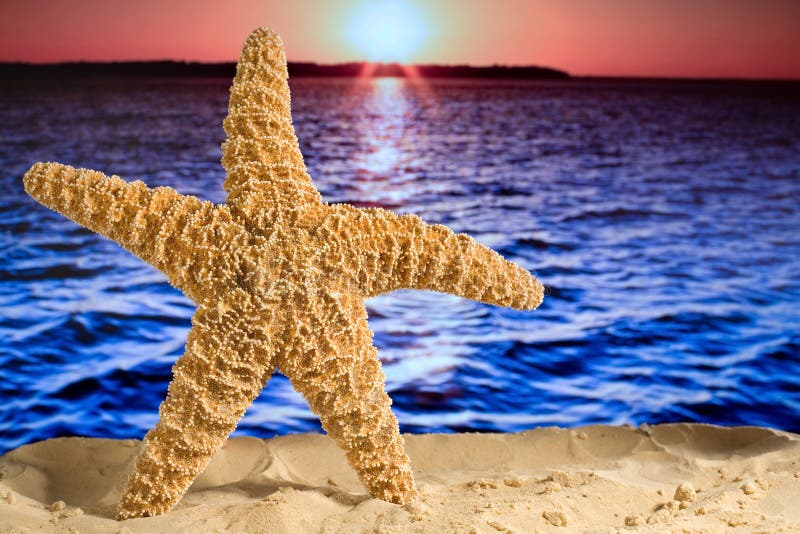 De tropische Vakantie van het Paradijs stock foto De tropische Vakantie van het Paradijs stock foto