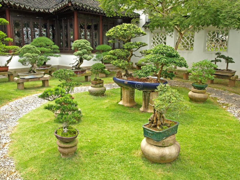 De Tuin van de bonsai royalty-vrije stock fotografie De Tuin van de bonsai royalty-vrije stock fotografie