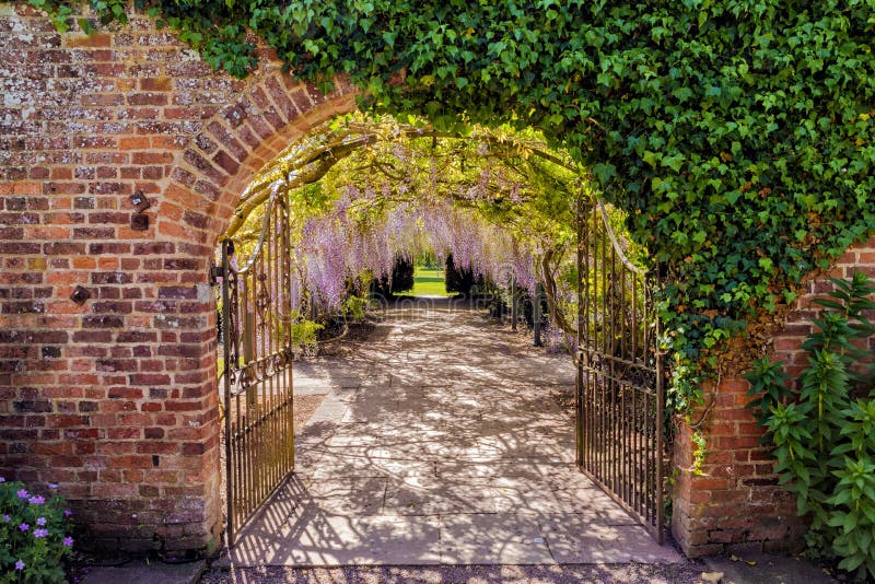 De Tunnel van de Wisteriabloem, Hampton Court Castle, Herefordshire, Engeland royalty-vrije stock afbeeldingen De Tunnel van de Wisteriabloem, Hampton Court Castle, Herefordshire, Engeland royalty-vrije stock afbeeldingen