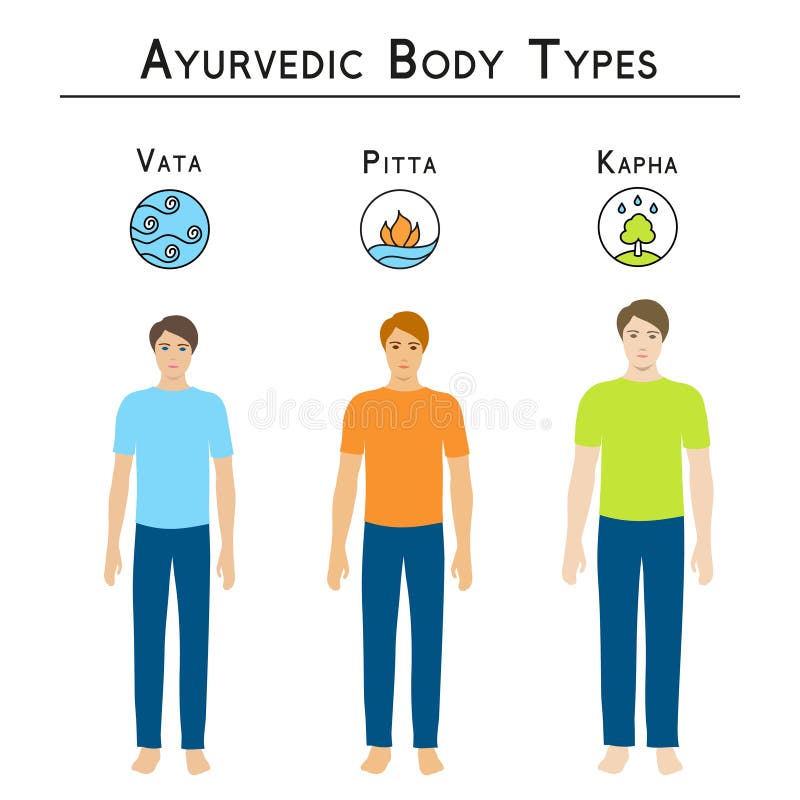 De Types Van Ayurvediclichaam Vata, Pitta, Kapha Vector Illustratie