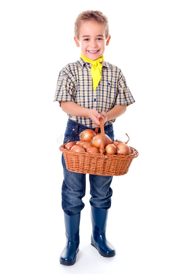 De uien van weinig landbouwkundigeholding stock afbeelding De uien van weinig landbouwkundigeholding stock afbeelding