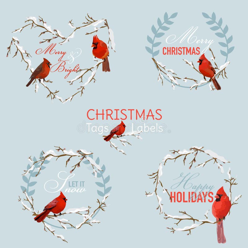 De uitstekende Vogels van de Kerstmiswinter stock illustratie De uitstekende Vogels van de Kerstmiswinter stock illustratie