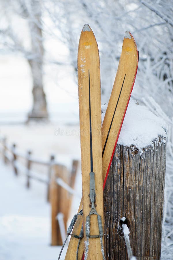 De uitstekende Winter Ski Tips