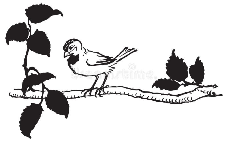 De vector tekening van vogel streek op boomtak neer