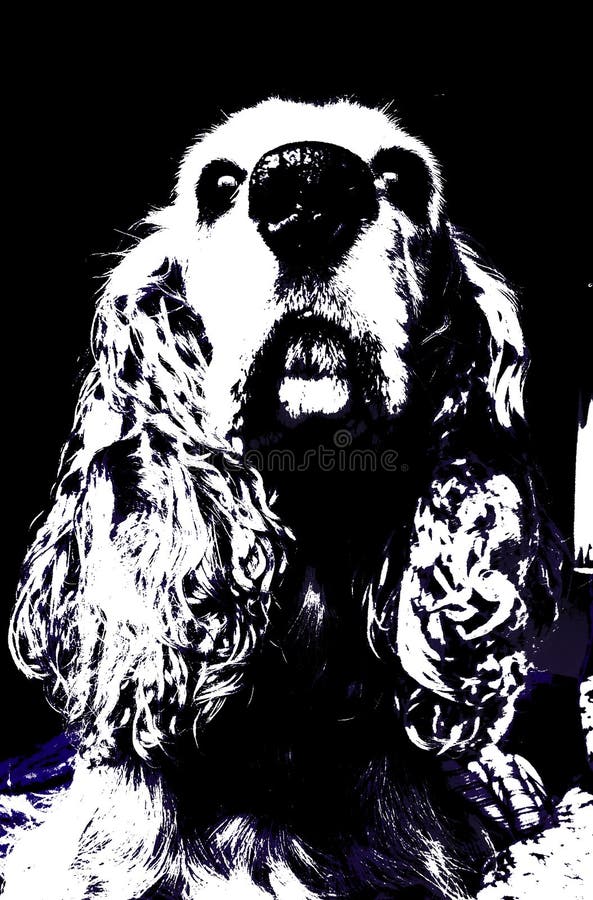 De vector van de cocker-spaniëlhond royalty-vrije illustratie De vector van de cocker-spaniëlhond royalty-vrije illustratie
