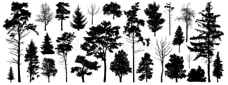 De vector van het boomsilhouet Geïsoleerde bosbomen op witte achtergrond