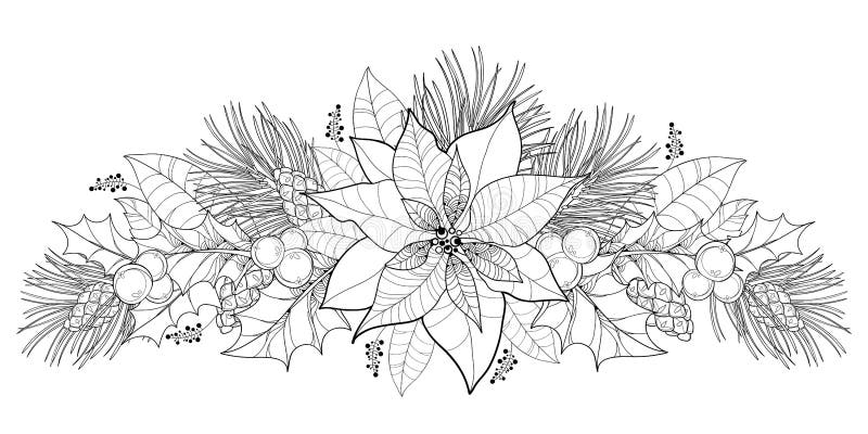 De vectordiebloem van contourpoinsettia of Kerstmisster in zwarte op wit wordt geïsoleerd Horizontale grens met overzichtspoinset royalty-vrije illustratie De vectordiebloem van contourpoinsettia of Kerstmisster in zwarte op wit wordt geïsoleerd Horizontale grens met overzichtspoinset royalty-vrije illustratie