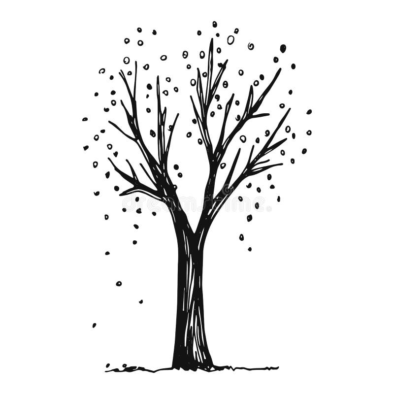 De vectorillustratie van de boomherfst schets vector illustratie De vectorillustratie van de boomherfst schets vector illustratie