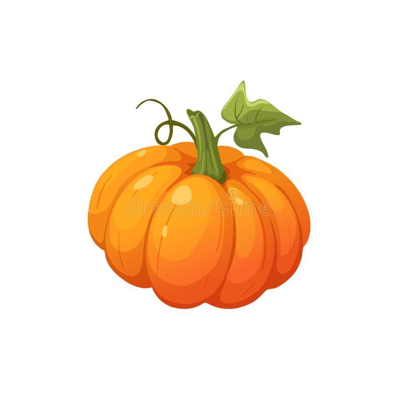  De vectorillustratie van de pompoen stock illustratie