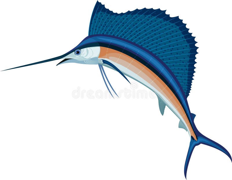 De vectorillustratie van de zwaardvissen Atlantische zeilvis stock illustratie De vectorillustratie van de zwaardvissen Atlantische zeilvis stock illustratie