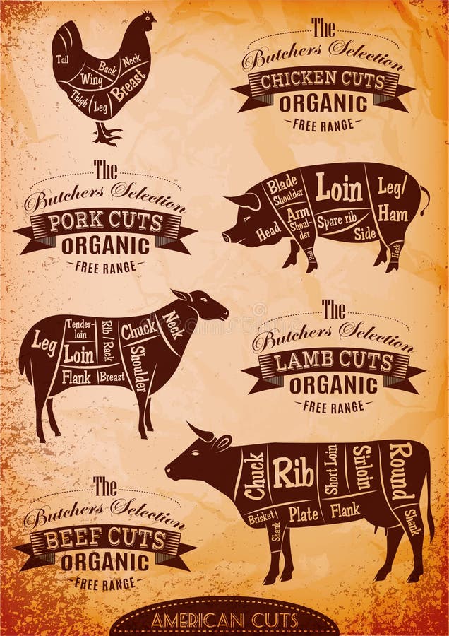 Vector diagram van uitgesneden karkassen vector illustratie