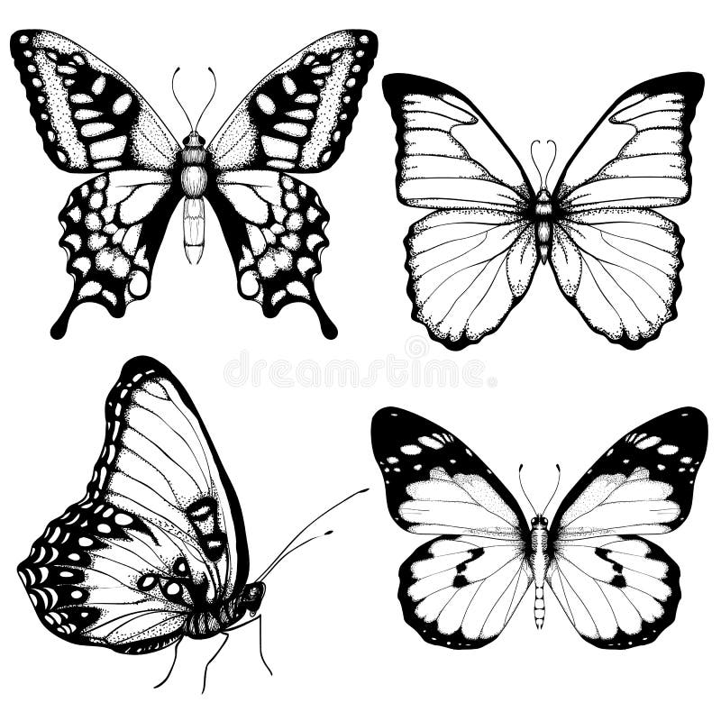 De vectorstijl van de vlinderhand getrokken vastgestelde schets royalty-vrije illustratie De vectorstijl van de vlinderhand getrokken vastgestelde schets royalty-vrije illustratie