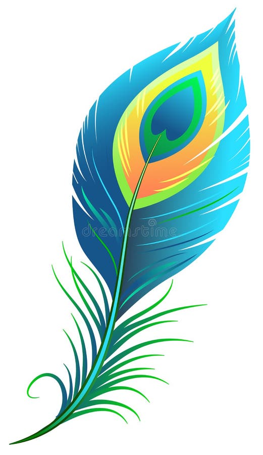 Peacock feather. illustration in vector format. Peacock feather. illustration in vector format