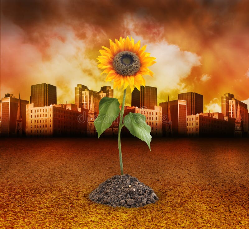 De Vernietiging van de stad met het Groeien van de Zonnebloem van de Aard vector illustratie De Vernietiging van de stad met het Groeien van de Zonnebloem van de Aard vector illustratie