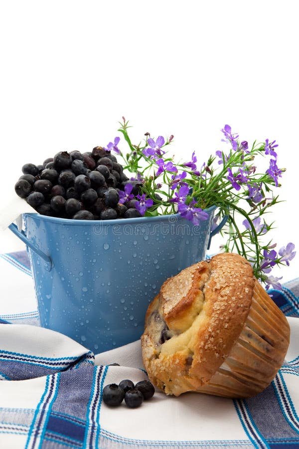 Versgebakken blauwe bessen muffin stock foto's
