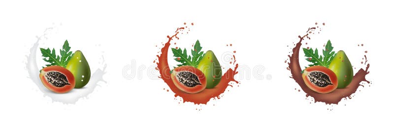 De verse 3d realistische papajaplakken met de yoghurtchocolade van de sapmelk bespatten dalingen die op een witte achtergrond wor vector illustratie De verse 3d realistische papajaplakken met de yoghurtchocolade van de sapmelk bespatten dalingen die op een witte achtergrond wor vector illustratie