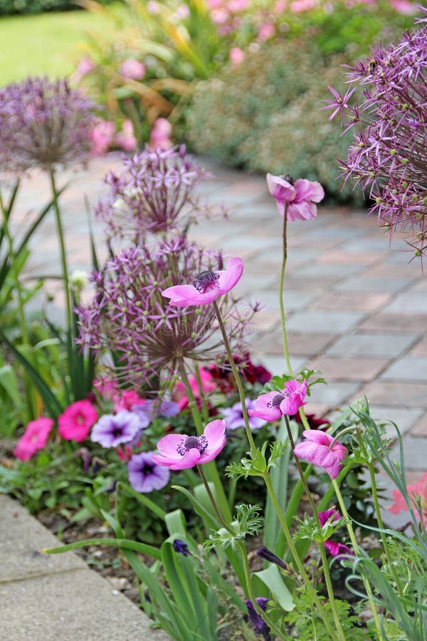 Photo of victorian country cottage flowers in garden with path leading to lawn. Photo of victorian country cottage flowers in garden with path leading to lawn.