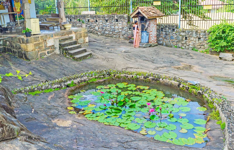 De vijver met bloemen in oude tempel stock afbeeldingen De vijver met bloemen in oude tempel stock afbeeldingen