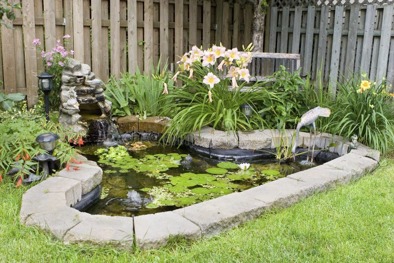 De Vijver van de tuin De Vijver van de tuin