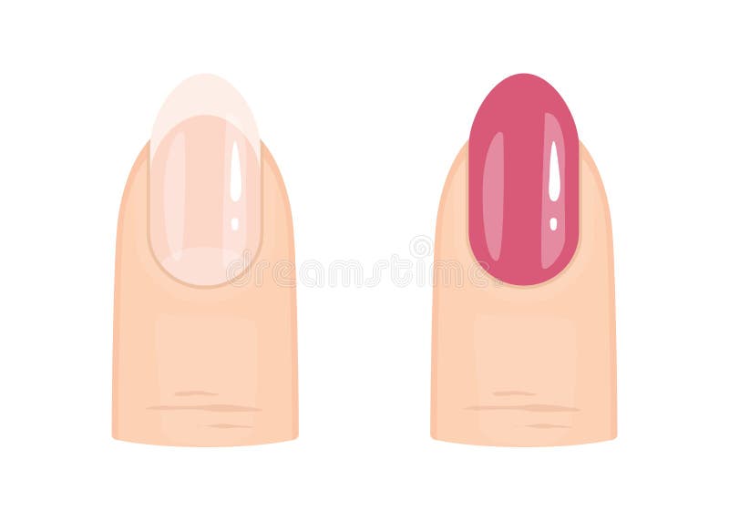 Close up of woman’s finger with pink polish and finger with French Professional Manicure. Beauty treatment. Vector illustration. Close up of woman’s finger with pink polish and finger with French Professional Manicure. Beauty treatment. Vector illustration
