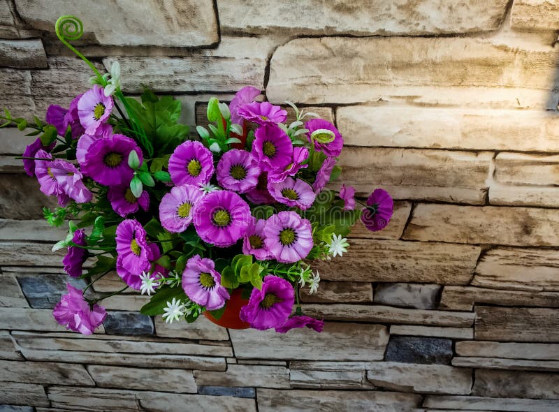 de violette bloemen in een groene bloempot maakten aan de muur van de steenbekleding met textuur vast stock afbeelding de violette bloemen in een groene bloempot maakten aan de muur van de steenbekleding met textuur vast stock afbeelding