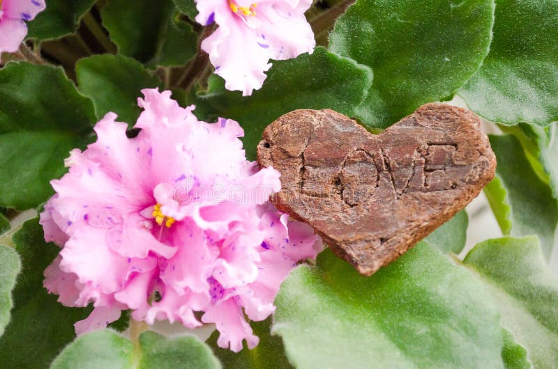 De viooltjes van bloemen Hart met de woorden ‚liefde ‚ royalty-vrije stock afbeelding De viooltjes van bloemen Hart met de woorden ‚liefde ‚ royalty-vrije stock afbeelding