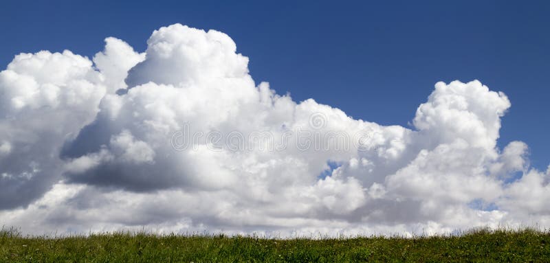 De vita molnen byggs mot en djup blå himmel och stiger över en grasslig kulle. arkivfoto