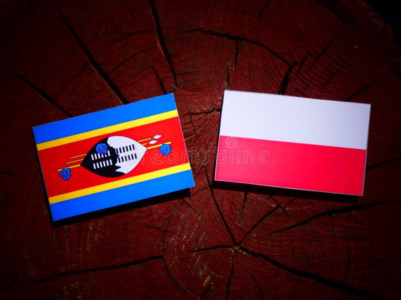 De vlag van Swasiland met Poolse vlag op een geïsoleerde boomstomp stock fotografie De vlag van Swasiland met Poolse vlag op een geïsoleerde boomstomp stock fotografie