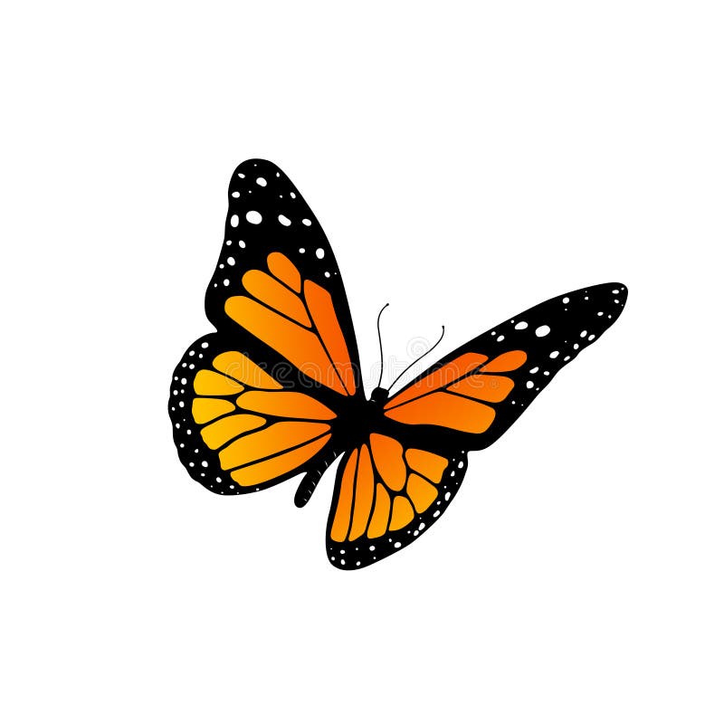 De vlinder van de monarch
