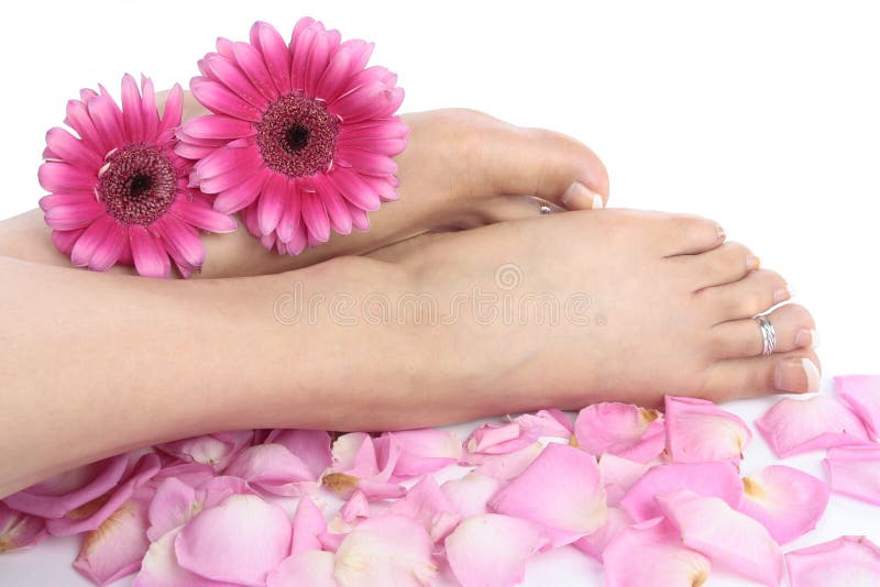 De voeten en de bloemen van de vrouw die over wit worden geïsoleerdm royalty-vrije stock afbeeldingen De voeten en de bloemen van de vrouw die over wit worden geïsoleerdm royalty-vrije stock afbeeldingen
