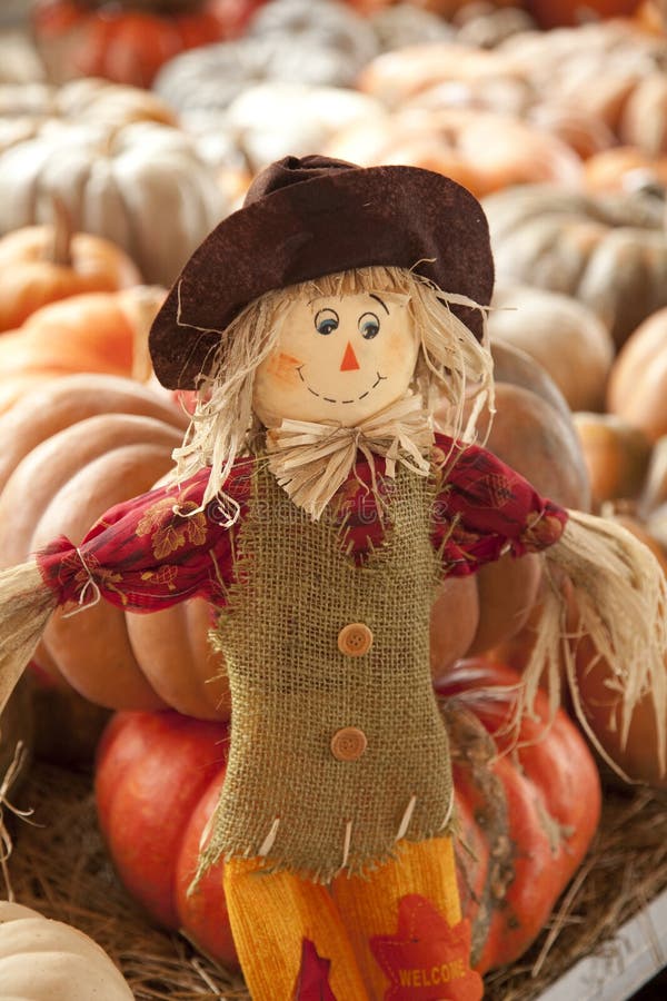 De Vogelverschrikker van Doll van de dankzegging stock afbeelding De Vogelverschrikker van Doll van de dankzegging stock afbeelding