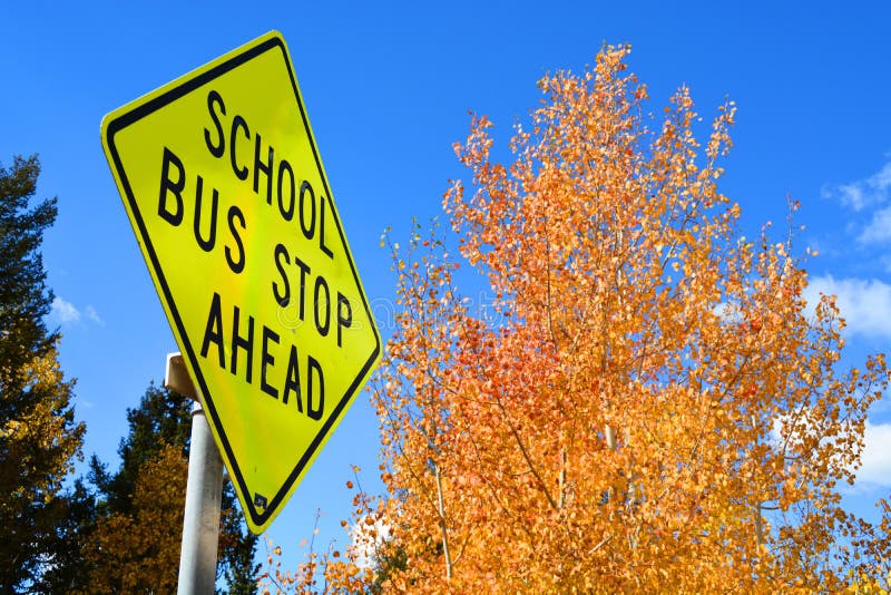 De volta ao sinal da parada de ônibus escolar
