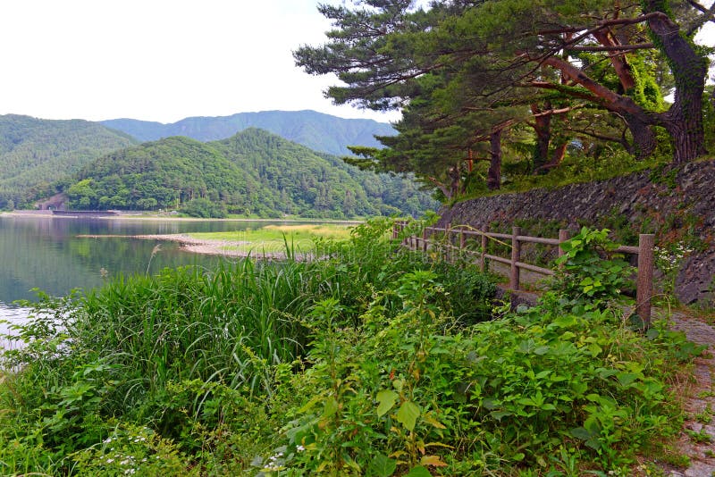 De vreedzame aardscène met groene bergen, de bomen en het meer in dichtbijgelegen Kawaguchiko zetten Fuji op stock afbeeldingen De vreedzame aardscène met groene bergen, de bomen en het meer in dichtbijgelegen Kawaguchiko zetten Fuji op stock afbeeldingen